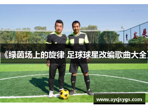 《绿茵场上的旋律 足球球星改编歌曲大全》