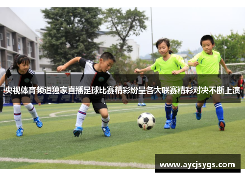 央视体育频道独家直播足球比赛精彩纷呈各大联赛精彩对决不断上演